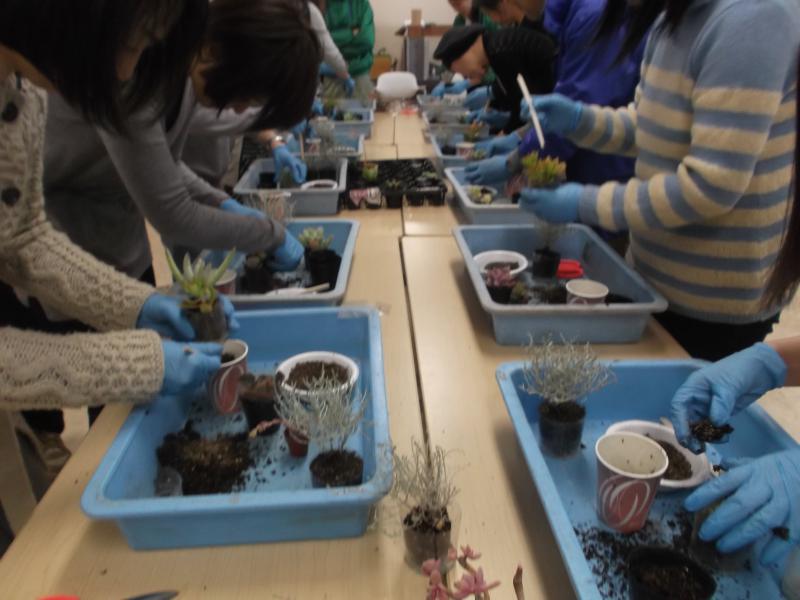 多肉植物寄植え教室：まずは好みの植物をチョイス♪